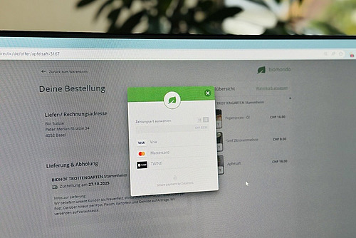 Bildschirm mit Online-Zahlungsseite.