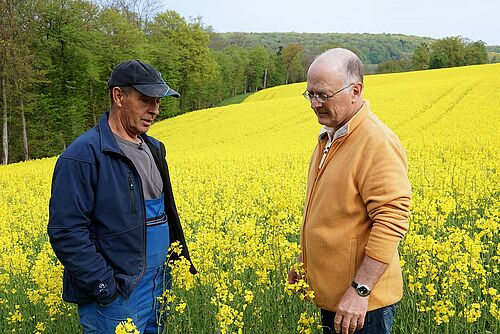 zwei Männer am Diskutieren vor blühendem Rapsfeld