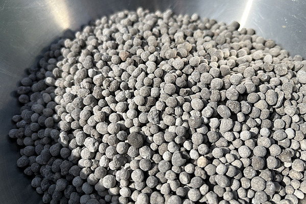 In einer Schüssel sind graue kleine Körner zu sehen. 