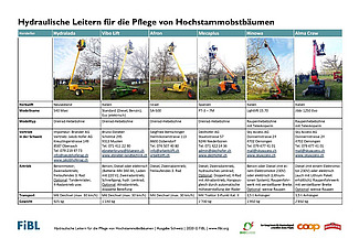 Titelblatt des Flyers: Übersicht über Anbieter
