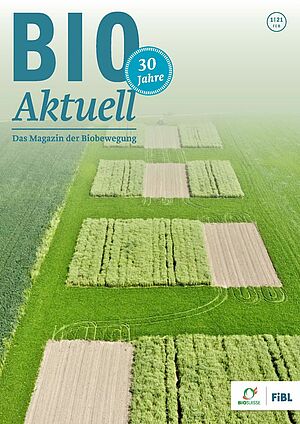Titelseite Bioaktuell 1|2021: Versuchsparzellen mit Mischkulturen von Getreide und Leguminosen von oben.