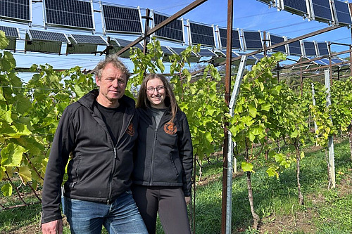 Zwei Personen stehen in einem Rebberg unter einer Agriphotovoltaik-Anlage mit Solarmodulen über den Rebzeilen.