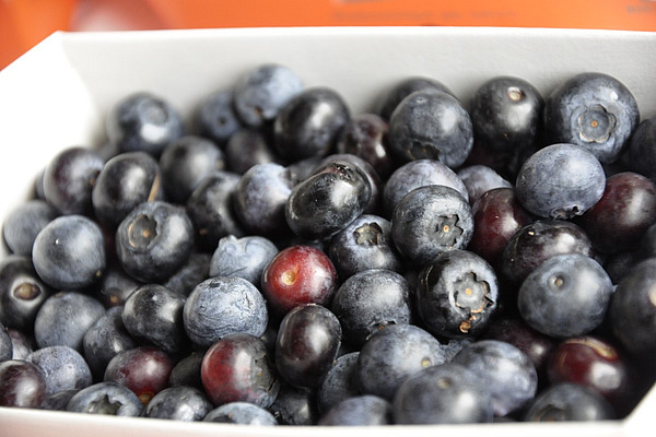 Reife Heidelbeeren liegen in einem Kartonschälchen. 