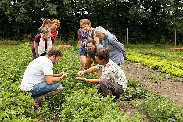 Menschen stehen links und rechts eines Gemüsebeetes.