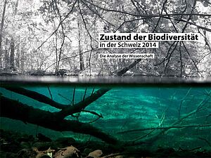 Titelseite des Berichts, Blick in und über eine Wasserlandschaft