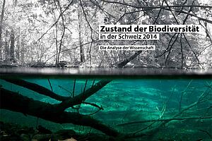 Titelseite des Berichts, Blick in und über eine Wasserlandschaft