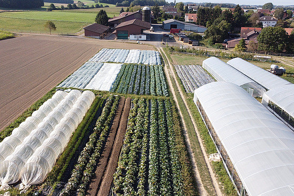 Luftaufnahme eines Hofs.