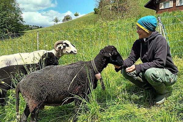 Kathrin Lenz kniet neben drei Schafen auf der Weide.