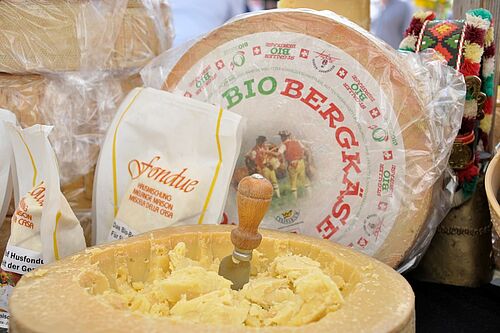 Käse verpackt und unverpackt