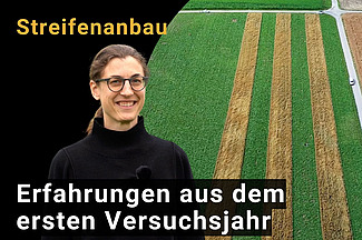 Screenshot einer Frau vor Feldern.