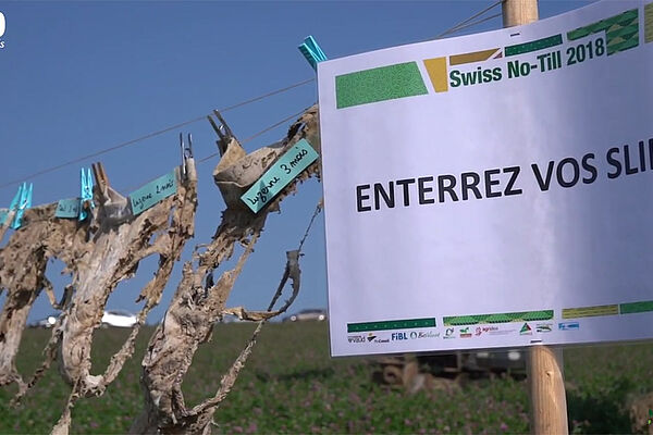 halb verrotete Unterhosen an einer Wäscheleine