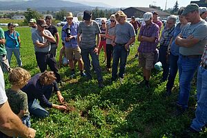 Eine Gruppe von Menschen auf einer Wiese stehend