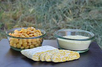 Auf einem Tisch im Freien stehen zwei Schälchen: Eins mit Samen, eins mit einem Mehl. Davor liegt aufgeschnittenes Tempeh, eine feste weisse Masse mit Lupinensamen darin. 