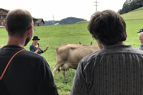 Frau mit Mikrofon steht auf der Weide und spricht über die sie umgebenden Braunvieh-Kühe.