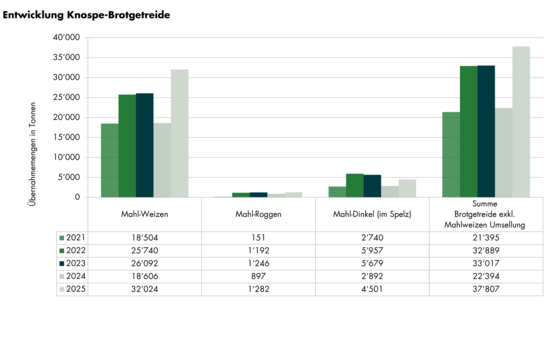 Grafik Entwicklung Übernahmemengen Knospe-Brotgetreide 2024