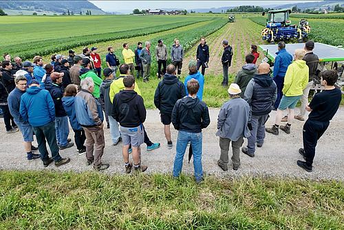 Landwirt*innen stehen vor einem Zuckerrübenfeld.