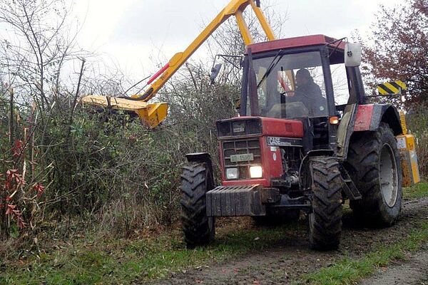 Schlegelmulcher beim Heckenschneiden; angebaut an die Hydraulik eines Traktors