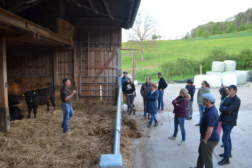 Ein Mann in einem Stall mit schwarzen Kühen und eine Gruppe Zuhörerinnen und Zuhörer.