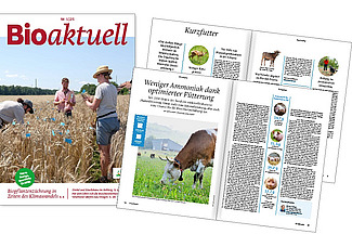 Mehrere Seiten einer Ausgabe des Magazins Bioaktuell.