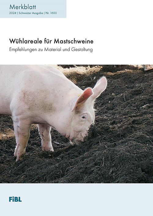 Schwein beim Wühlen.