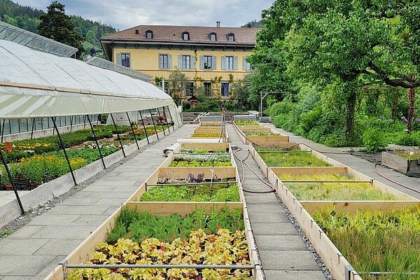 Auf dem Titelbild ist ein Haus mit einem Weg und Blumenbeete zu sehen. 