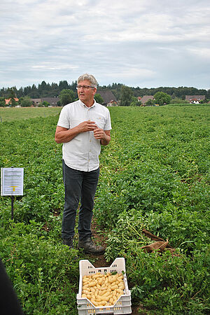 Bauer steht im Kartoffelfeld und referiert