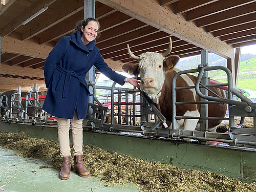 Eine Frau mit einer Kuh am Fressgitter in einem Laufstall.