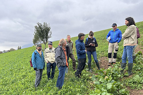 Menschen auf einer Agroforstparzelle.