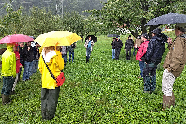 Eine Gruppe von Menschen in Regenschutzkleidung in einem Hochstammobstgarten. 