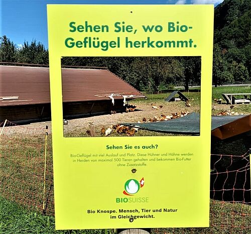 Feldtafel Geflüge. Foto: Gallina Bio AG,