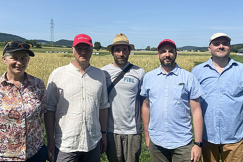 Fünf Personen auf einem Feld.