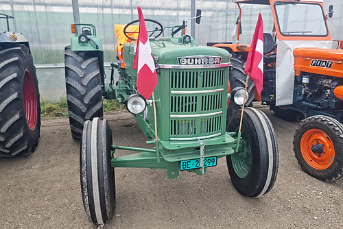 Ein mit Fähnchen dekorierter grüner Traktor älterer Bauart. 