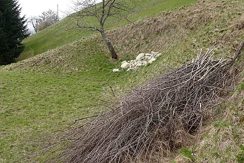 Steinhaufen und Asthaufen am Hang