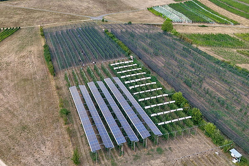 Blick von oben auf die Solarpanels der Agri-PV Forschungsanlage.