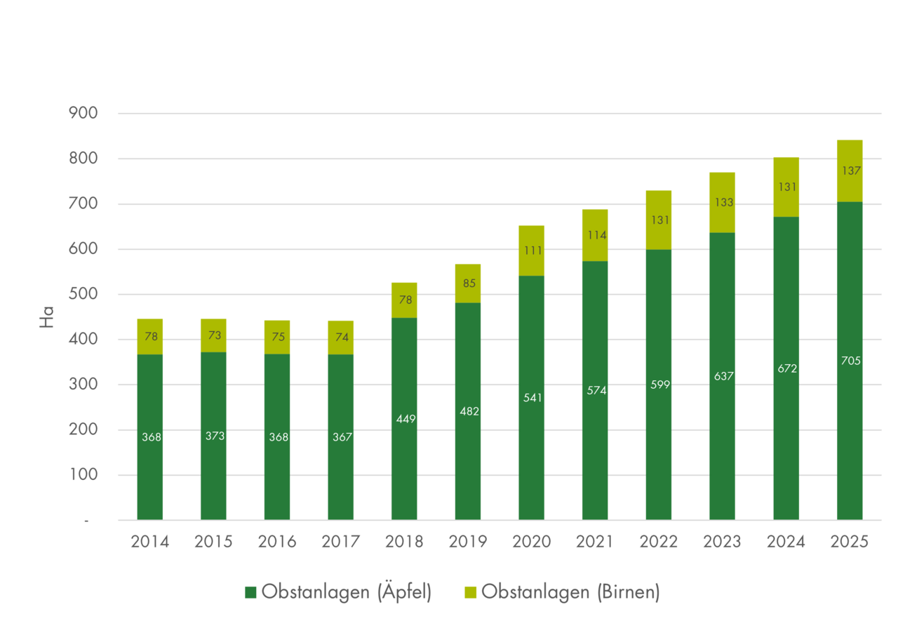 Grafik Flächenentwicklung Biokernobst.
