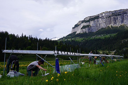 Vor einem Alpengipfel stehen Regendächer auf einer Wiese, darunter knien Personen und arbeiten am Boden. 