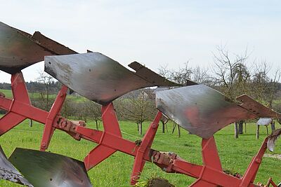 Die Pflugscharen im Detail. 