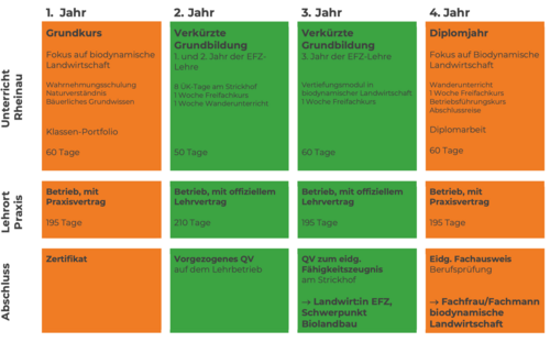 Eine Tabelle mit vier Spalten und mehreren Zeilen, grün und orange hinterlegt.