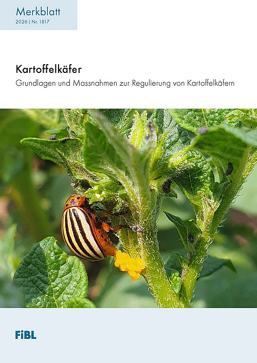 Cover des Merkblatts zum Kartoffelkäfer.