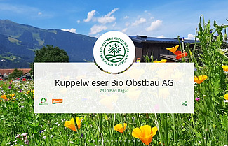 Bildschirmfoto des Biomondo-Betriebsprofils der Kuppelwiese Bio Obstbau AG vor einer Blumenwiese und Bergen. Am unteren Rand befindet sich der Text: Hier klicken für die Ansicht des Betriebsprofils auf Biomondo.