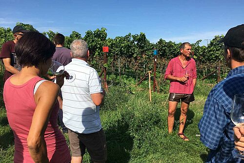 Gruppe von Personen vor einem Weinberg.