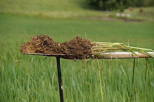 Ein mit dem Spaten ausgestochenes Bodenstück wird in der Waagrechten hochgehalten.