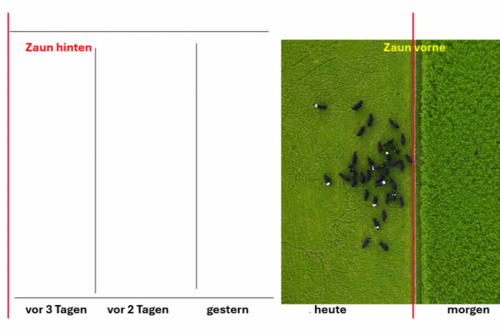 Darstellung einer Weide mit einem hinteren Zaun, mehreren Abschnitten vor 3, 2 Tagen, gestern, heute, dann der vordere Zaun und ein Abschnitt für morgen.