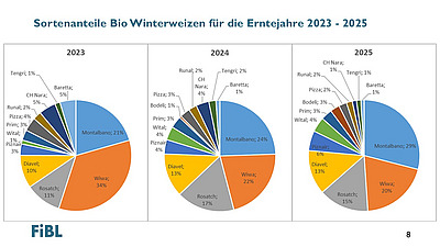 Folie mit den Sortenanteilen an Biowinterweizen für die Erntejahre 2023-2025.