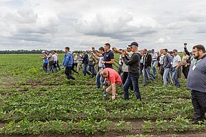 Eine Gruppe von ca. 30 Menschen läuft durch ein Feld, teilweise wird mit dem Handy fotografiert.