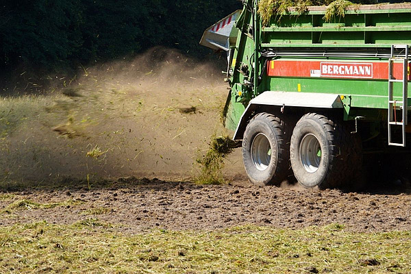 Mähgut von einer blütenreichen Wiese wird auf einem Saatbeet ausgebracht.