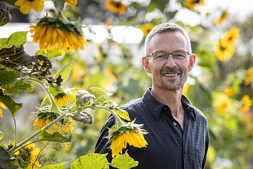 Urs Brändli inmitten von Sonnenblumen