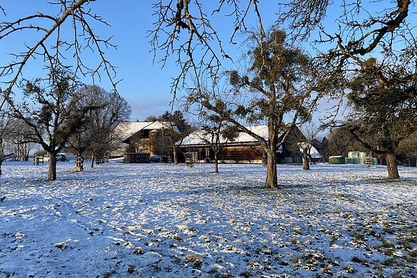 Ein Bauernhof in einer verschneiten Landschaft. 