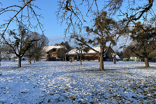 Ein Bauernhof in einer verschneiten Landschaft. 