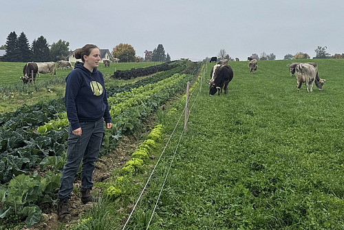 Eine Frau steht auf einer Gemüseparzelle mit Blick auf eine Kuhweide.